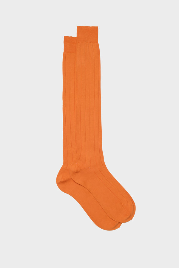 CALZA MASSIMO, 100% COTONE PIMA, ORANGE.